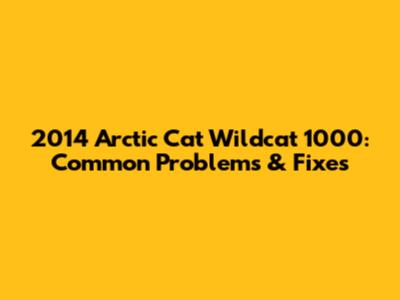 2014 Arctic Cat Wildcat 1000: Common Problems & Fixes