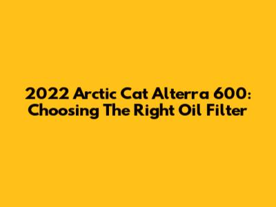 2022 Arctic Cat Alterra 600: Choosing The Right Oil Filter