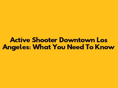 Active Shooter Downtown Los Angeles: What You Need To Know