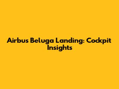 Airbus Beluga Landing: Cockpit Insights