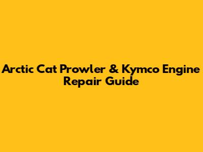 Arctic Cat Prowler & Kymco Engine Repair Guide