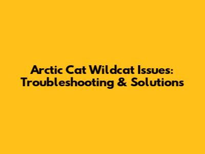 Arctic Cat Wildcat Issues: Troubleshooting & Solutions
