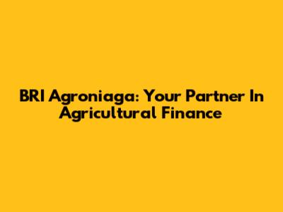 BRI Agroniaga: Your Partner In Agricultural Finance