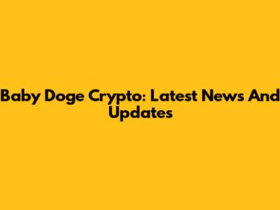 Baby Doge Crypto: Latest News And Updates