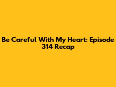 Be Careful With My Heart: Episode 314 Recap