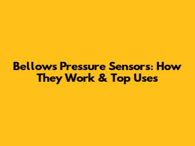 Bellows Pressure Sensors: How They Work & Top Uses