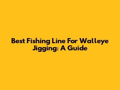 Best Fishing Line For Walleye Jigging: A Guide