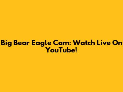 Big Bear Eagle Cam: Watch Live On YouTube!