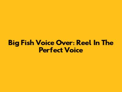 Big Fish Voice Over: Reel In The Perfect Voice