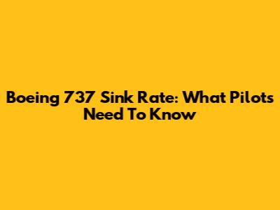 Boeing 737 Sink Rate: What Pilots Need To Know