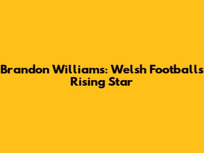 Brandon Williams: Welsh Football's Rising Star