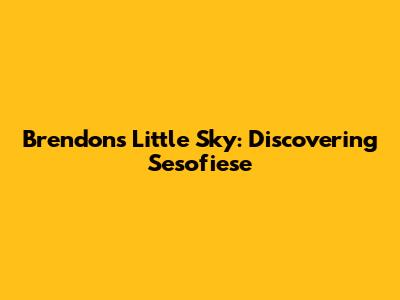Brendon's Little Sky: Discovering Sesofiese