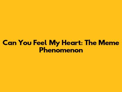 Can You Feel My Heart: The Meme Phenomenon