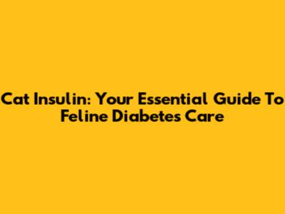 Cat Insulin: Your Essential Guide To Feline Diabetes Care