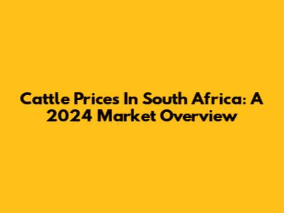Cattle Prices In South Africa: A 2024 Market Overview