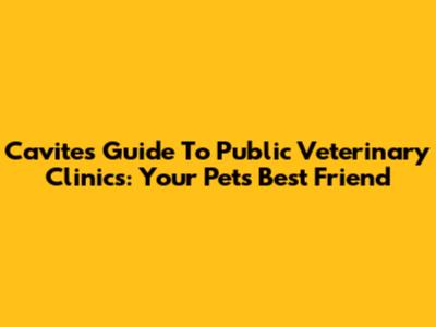 Cavite's Guide To Public Veterinary Clinics: Your Pet's Best Friend