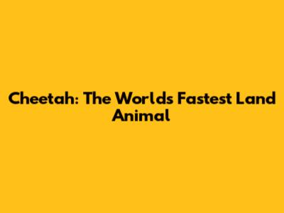 Cheetah: The World's Fastest Land Animal