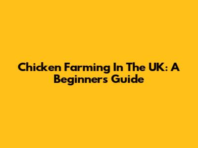Chicken Farming In The UK: A Beginner's Guide