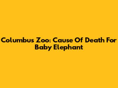 Columbus Zoo: Cause Of Death For Baby Elephant