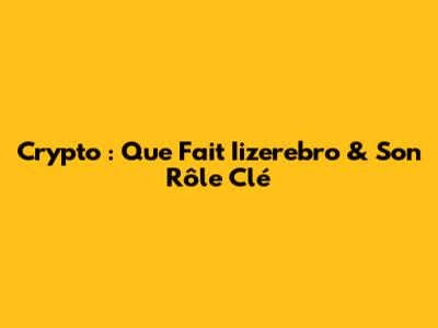 Crypto : Que Fait Iizerebro & Son Rôle Clé
