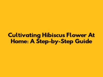Cultivating Hibiscus Flower At Home: A Step-by-Step Guide