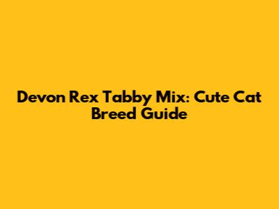 Devon Rex Tabby Mix: Cute Cat Breed Guide