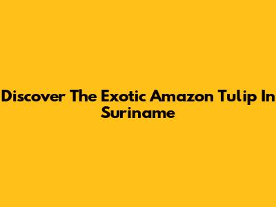 Discover The Exotic Amazon Tulip In Suriname