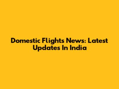 Domestic Flights News: Latest Updates In India