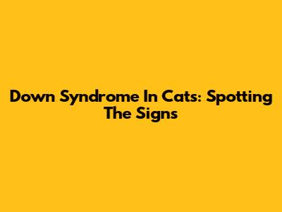 Down Syndrome In Cats: Spotting The Signs