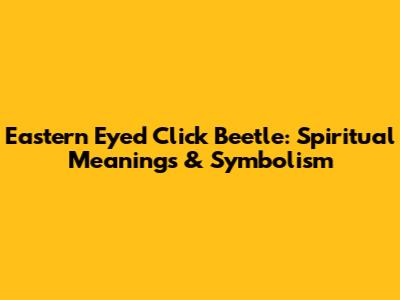 Eastern Eyed Click Beetle: Spiritual Meanings & Symbolism