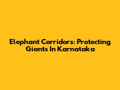 Elephant Corridors: Protecting Giants In Karnataka