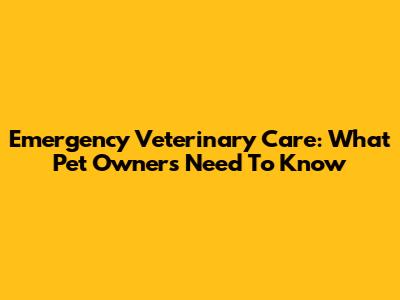 Emergency Veterinary Care: What Pet Owners Need To Know