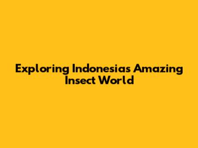 Exploring Indonesia's Amazing Insect World