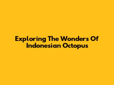 Exploring The Wonders Of Indonesian Octopus