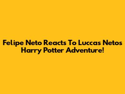 Felipe Neto Reacts To Luccas Neto's Harry Potter Adventure!
