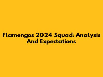 Flamengo's 2024 Squad: Analysis And Expectations