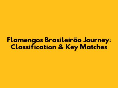 Flamengo's Brasileirão Journey: Classification & Key Matches