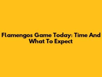 Flamengo's Game Today: Time And What To Expect