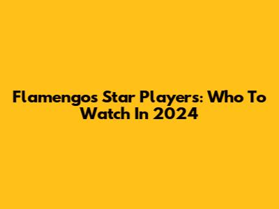 Flamengo's Star Players: Who To Watch In 2024