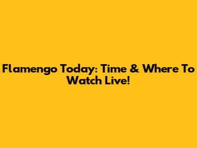 Flamengo Today: Time & Where To Watch Live!