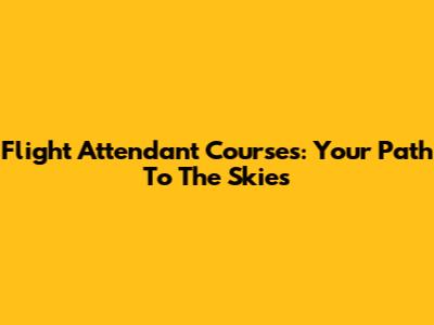 Flight Attendant Courses: Your Path To The Skies