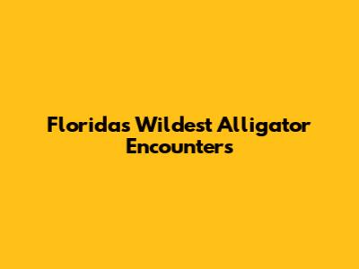 Florida's Wildest Alligator Encounters
