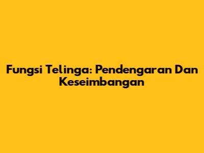 Fungsi Telinga: Pendengaran Dan Keseimbangan
