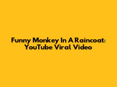 Funny Monkey In A Raincoat: YouTube Viral Video