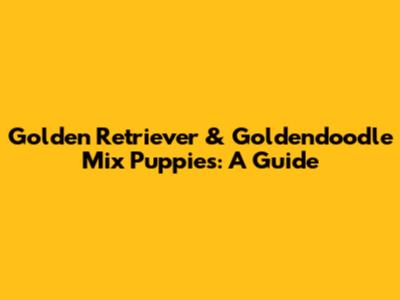 Golden Retriever & Goldendoodle Mix Puppies: A Guide