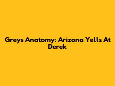 Grey's Anatomy: Arizona Yells At Derek