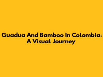 Guadua And Bamboo In Colombia: A Visual Journey