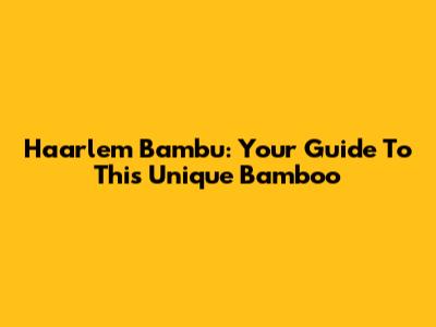 Haarlem Bambu: Your Guide To This Unique Bamboo