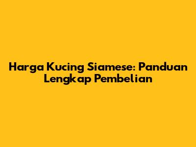 Harga Kucing Siamese: Panduan Lengkap Pembelian