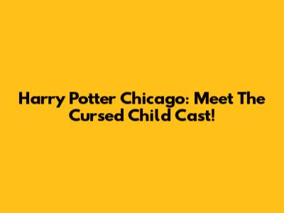 Harry Potter Chicago: Meet The Cursed Child Cast!